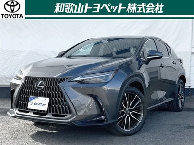 LEXUS NX - 1