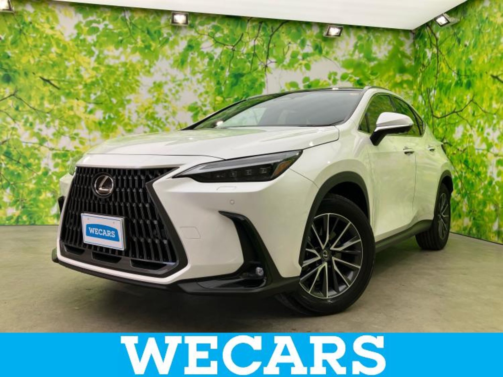 LEXUS NX - View 1