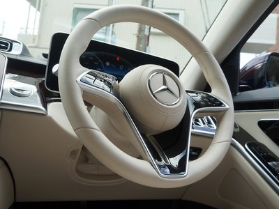 2021 Mercedes-BENZ S-CLASS photo 10