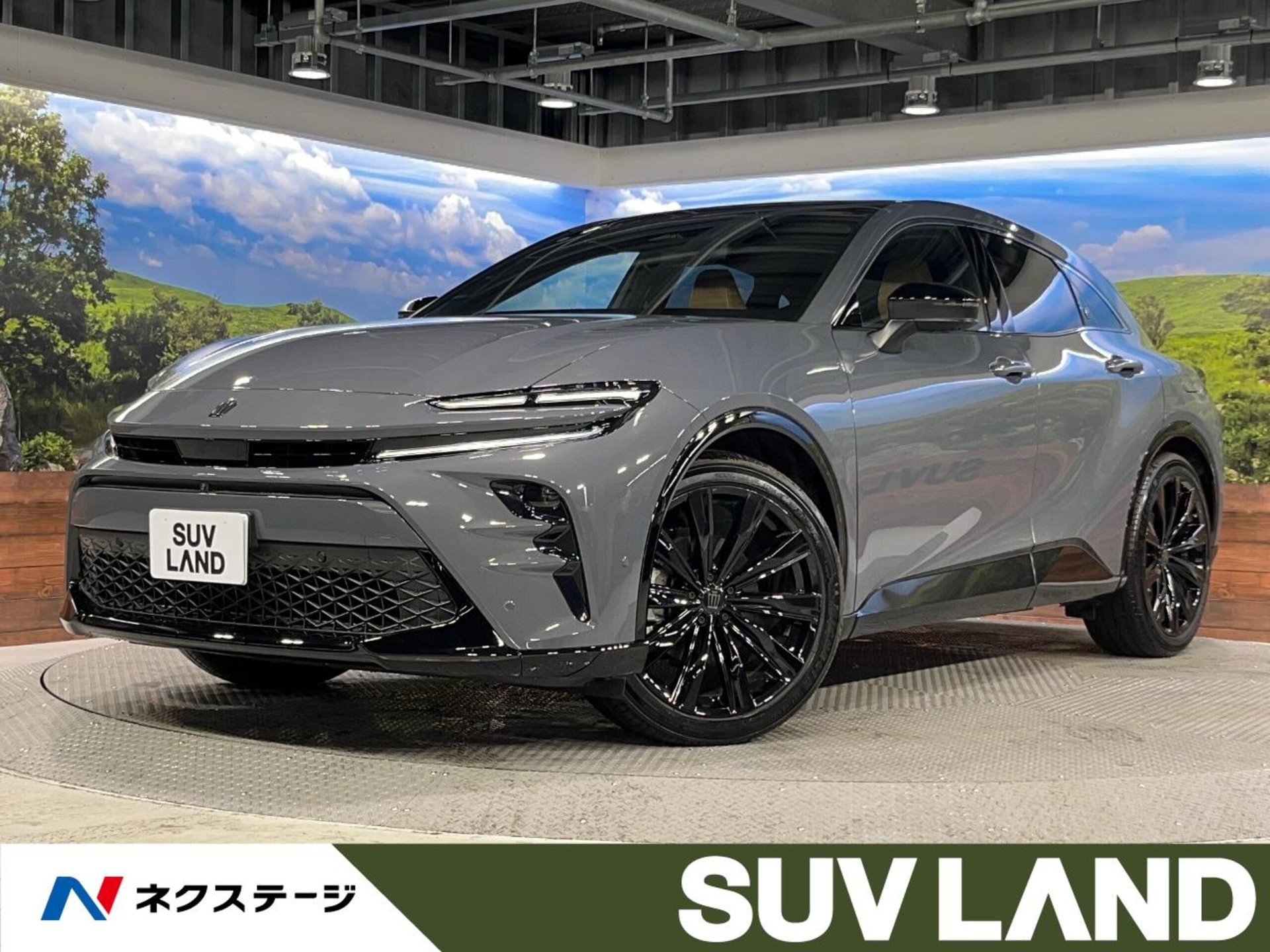 TOYOTA CROWN SPORT - View 1