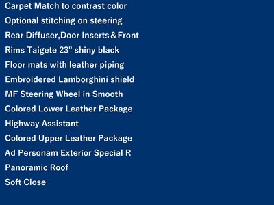 LAMBORGHINI URUS - 10