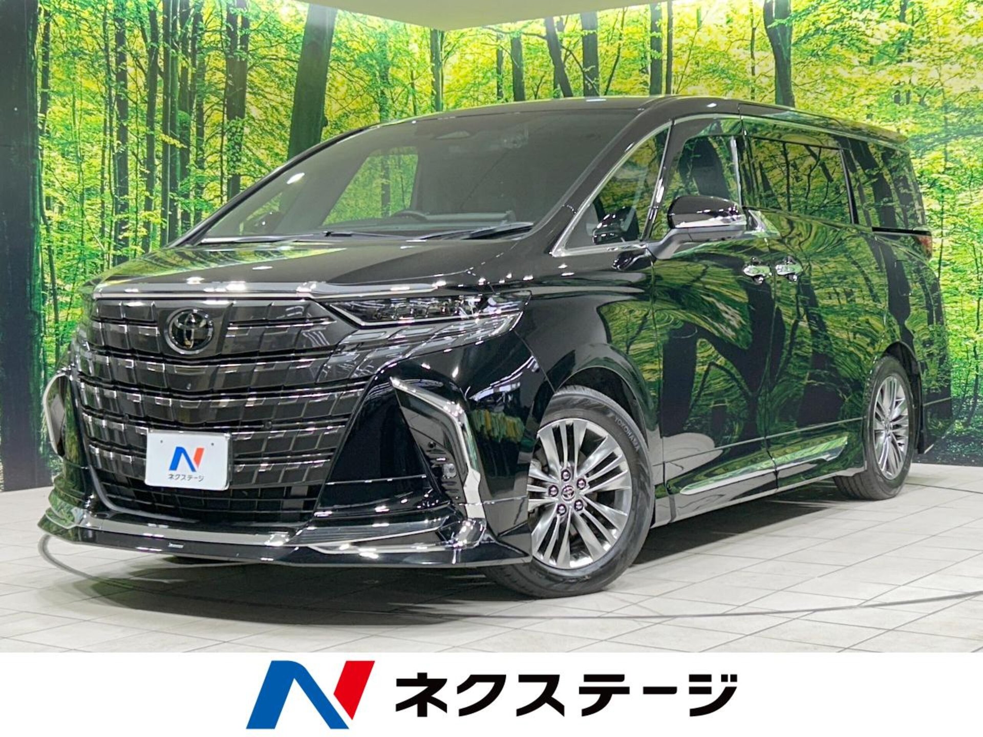 TOYOTA ALPHARD - View 1