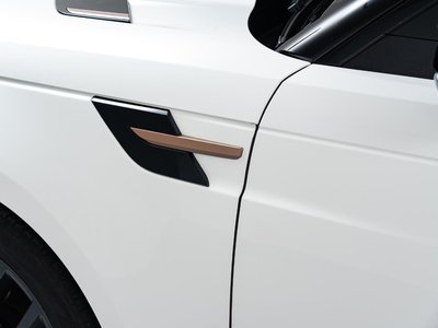 2023 LAND Rover RANGE ROVER SPORT 缩略图 67