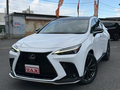 LEXUS NX - 1
