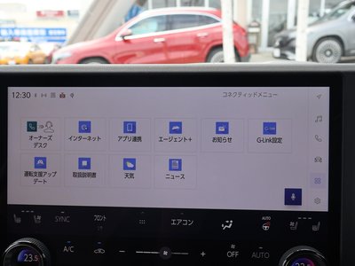 صورة مصغرة 74 لـ 2025 Lexus GX