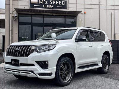 TOYOTA LAND CRUISER PRADO - 3