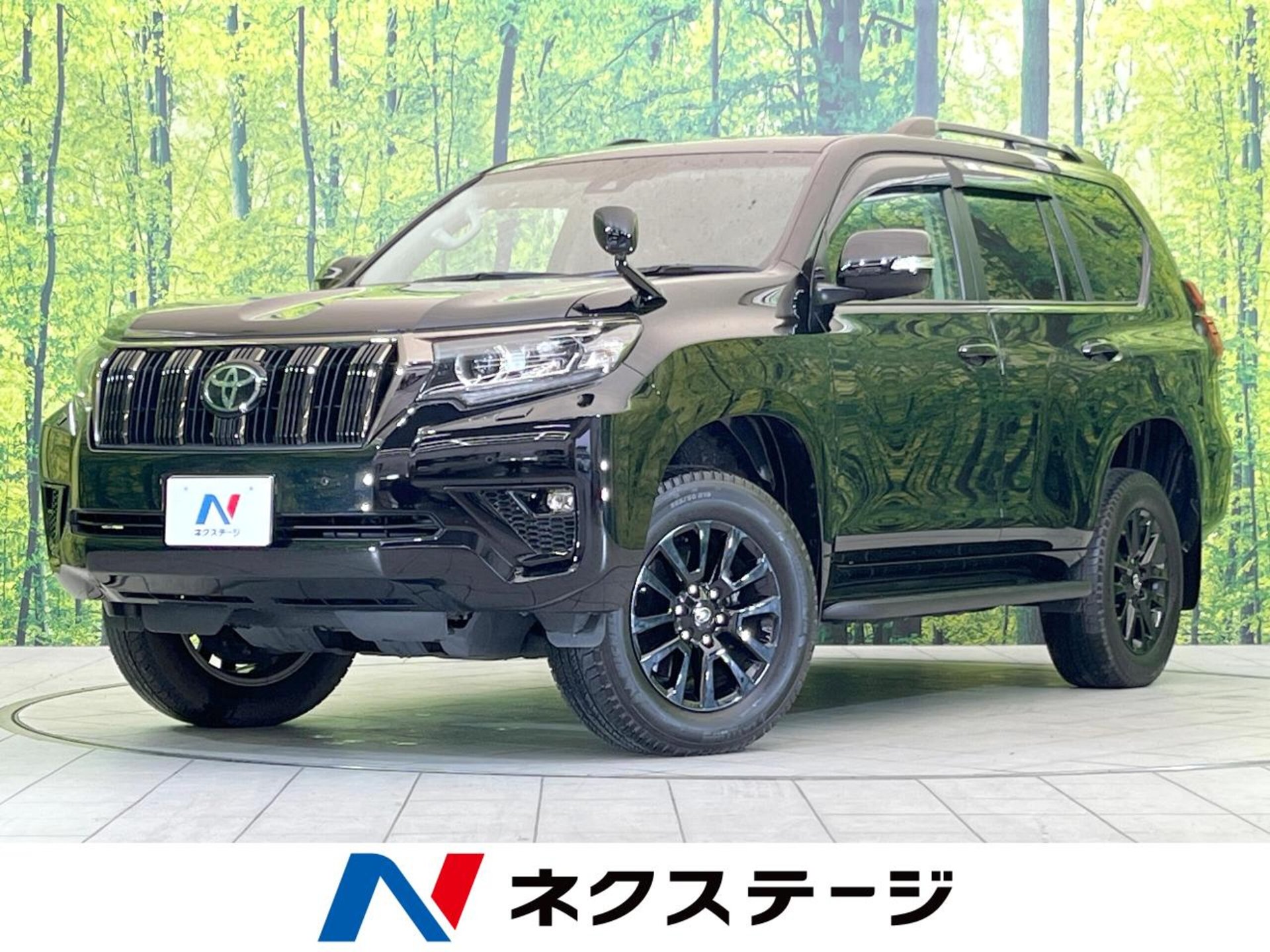 TOYOTA LAND CRUISER PRADO - View 1