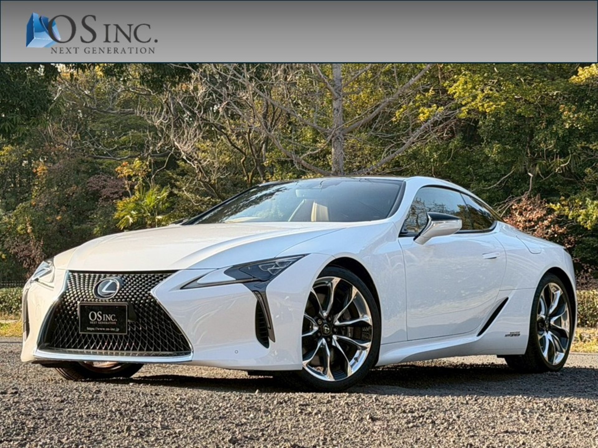LEXUS LC - View 1