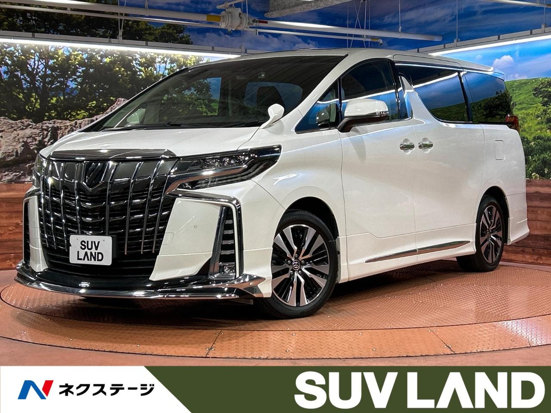 TOYOTA ALPHARD - View 1