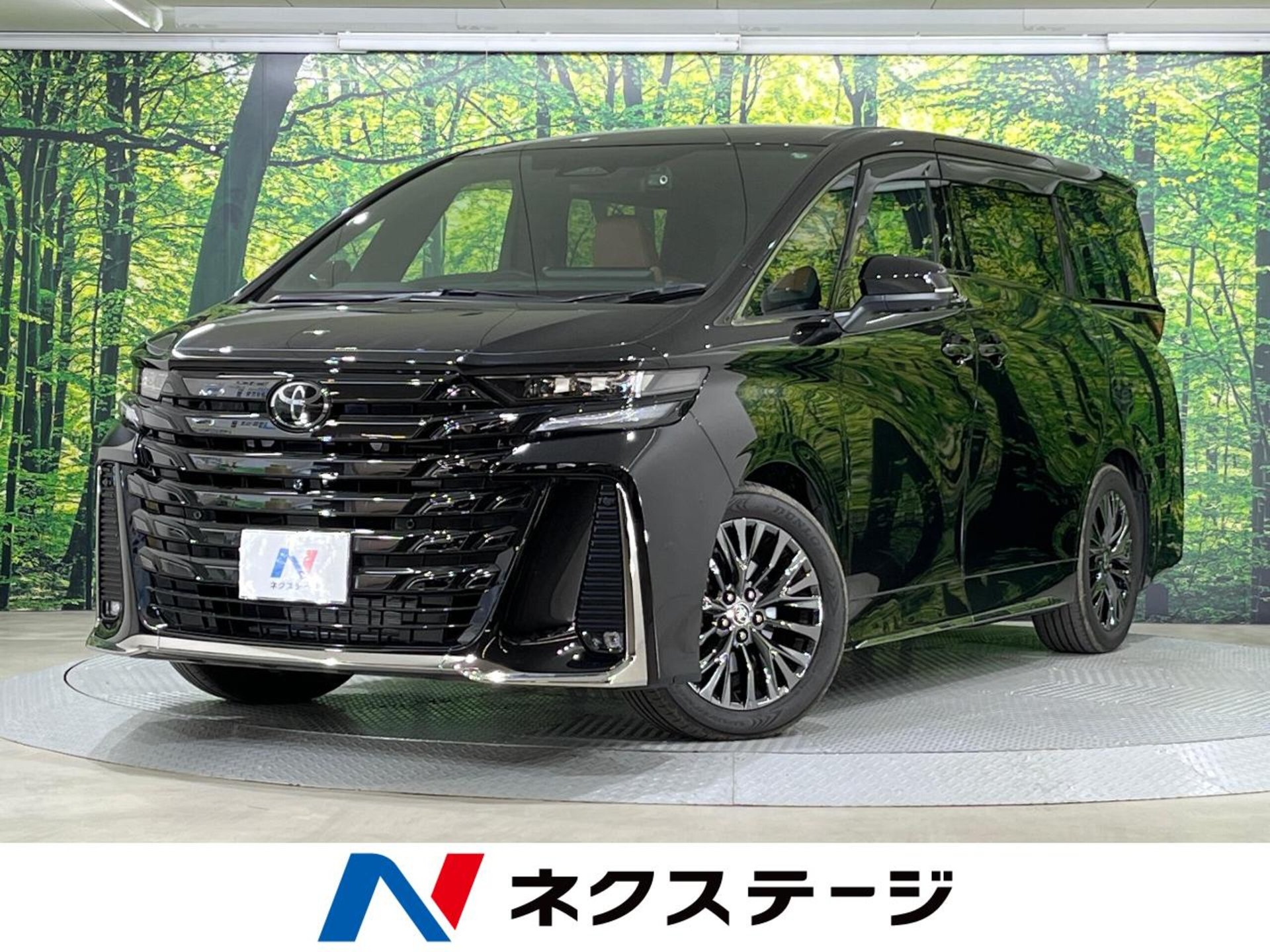 TOYOTA VELLFIRE - View 1