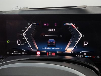 2025 BMW X7 缩略图 11