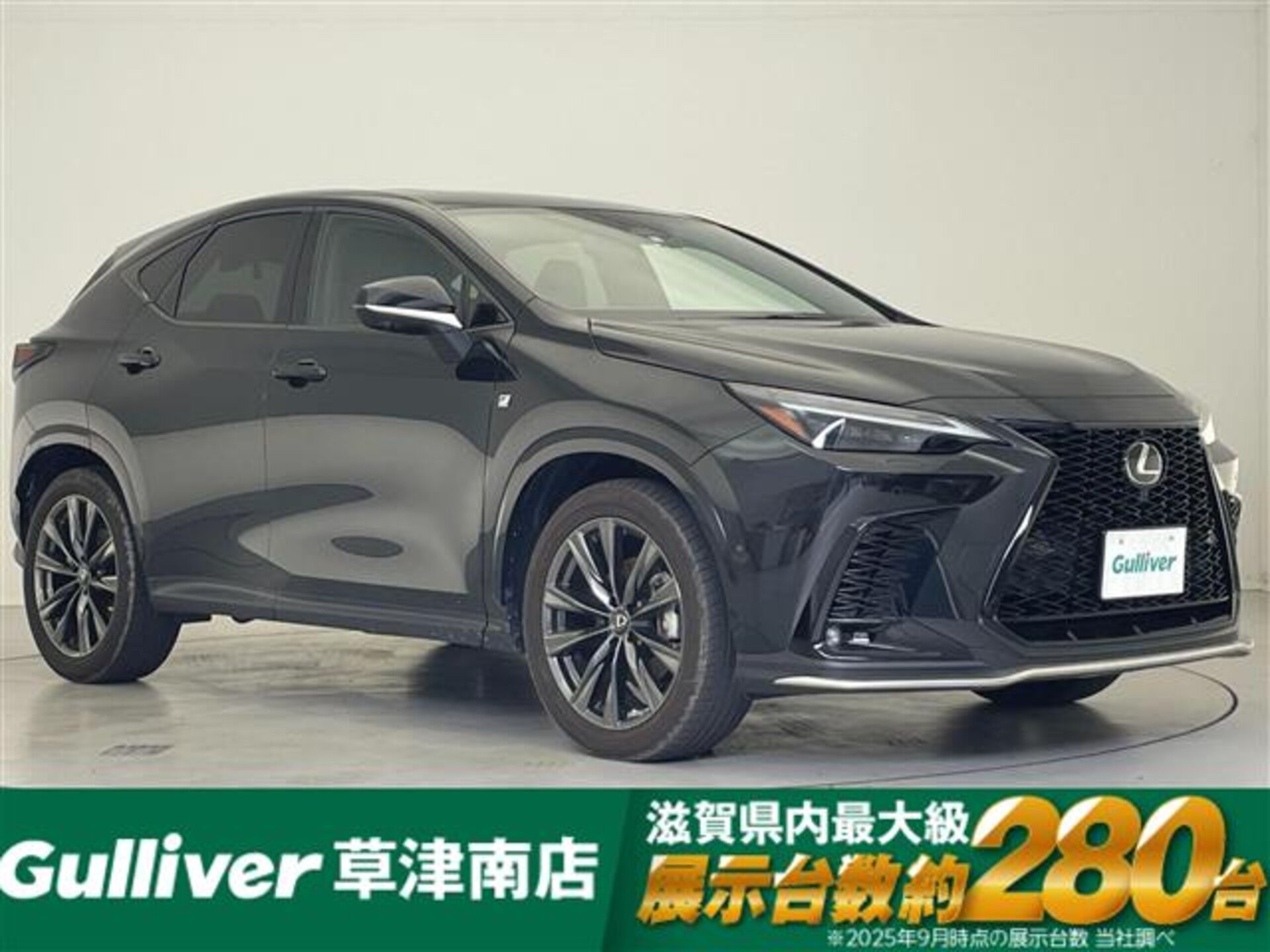 LEXUS NX - View 1