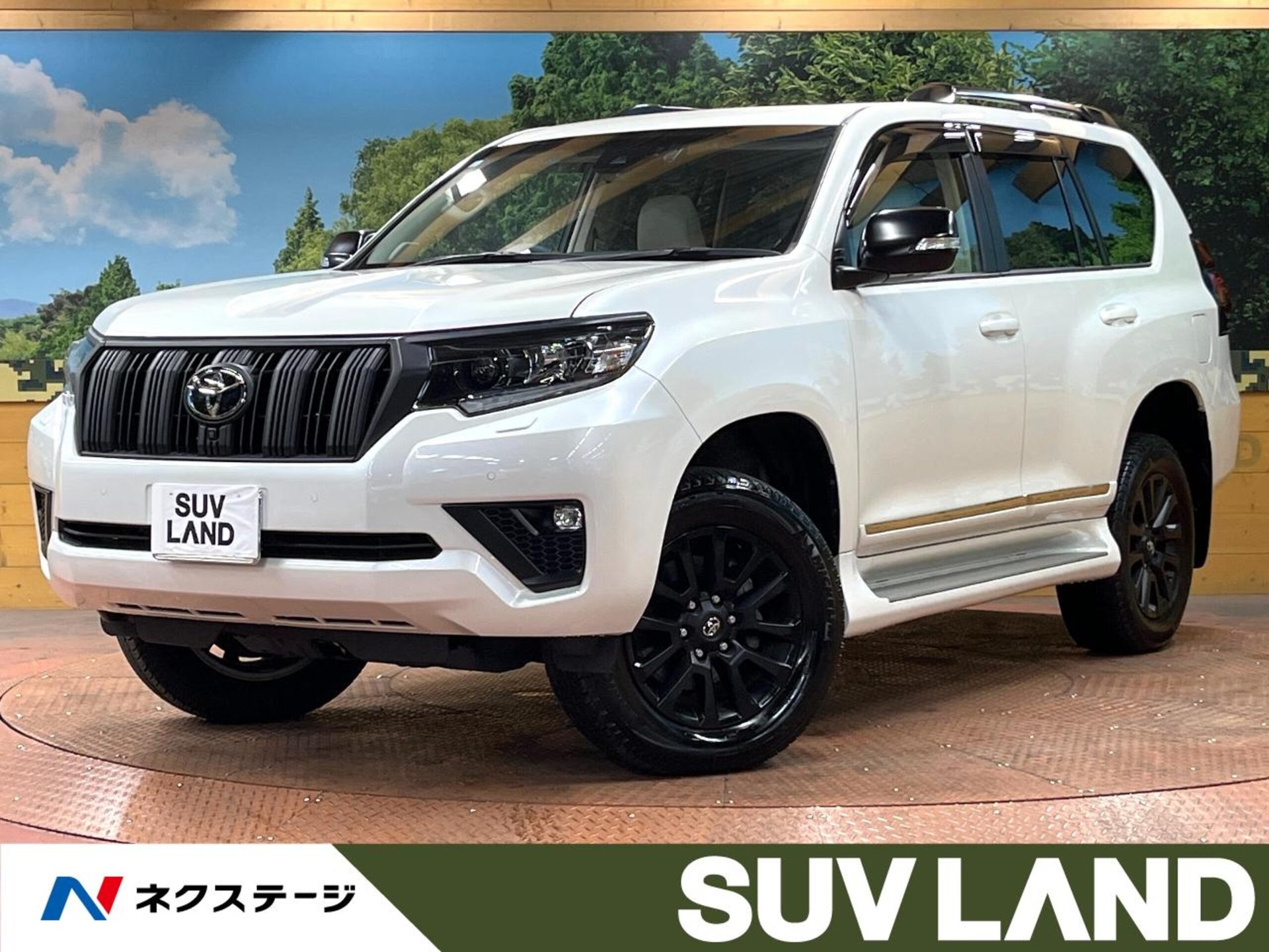 TOYOTA LAND CRUISER PRADO - View 1