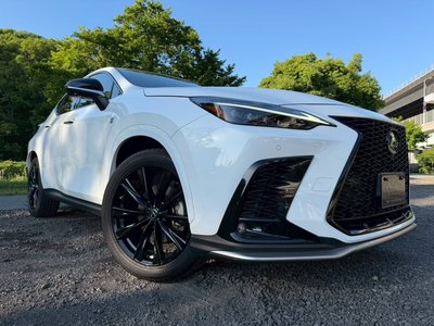 2023 Lexus NX 缩略图 14