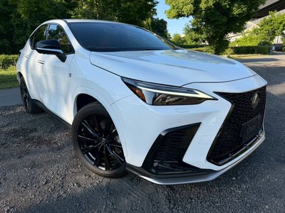 2023 Lexus NX 缩略图 15
