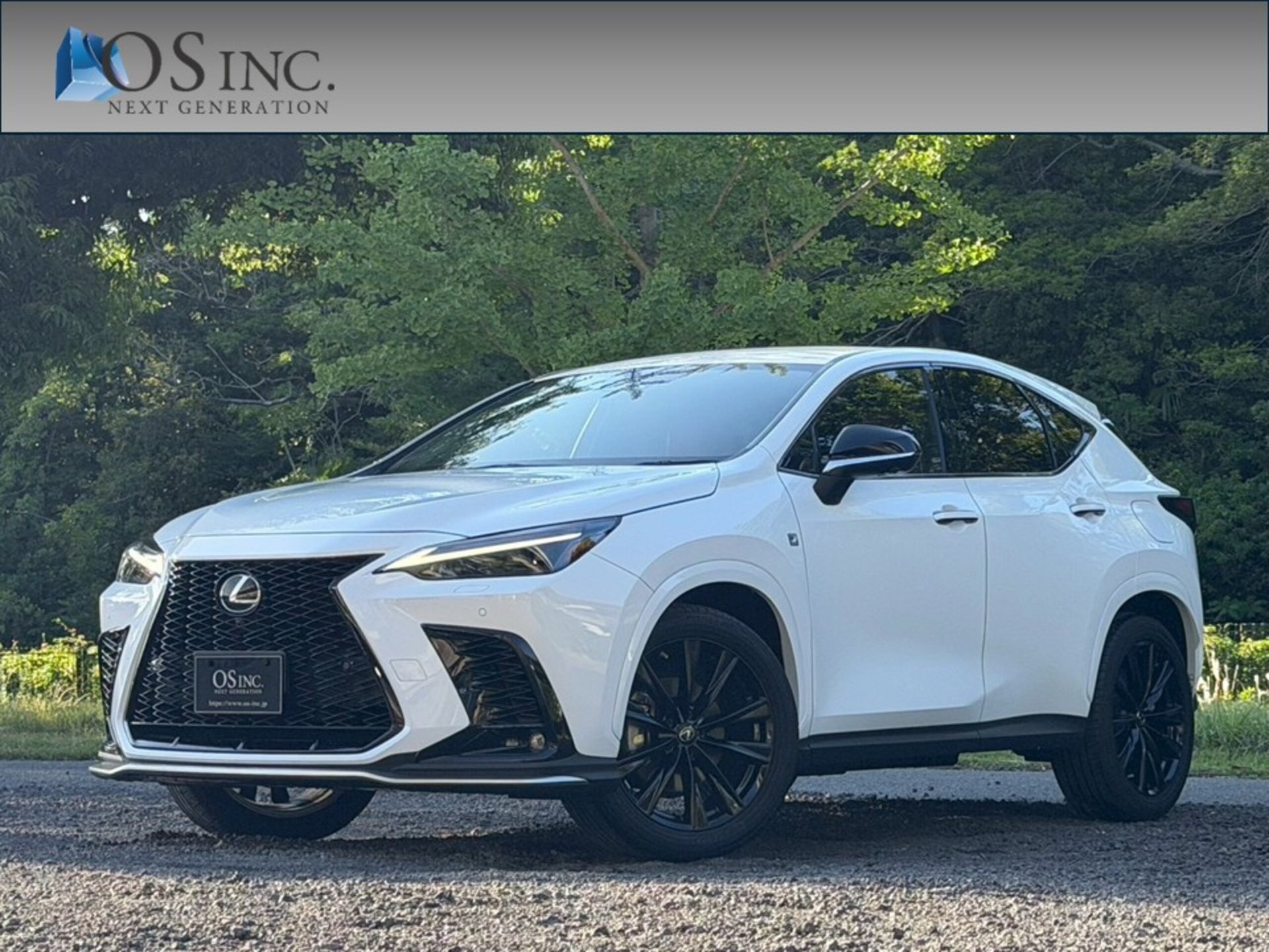 2023 Lexus NX 照片 1