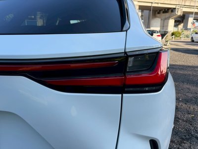 2023 Lexus NX 缩略图 24