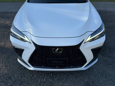 2023 Lexus NX 缩略图 21
