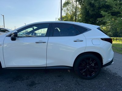 2023 Lexus NX 缩略图 12