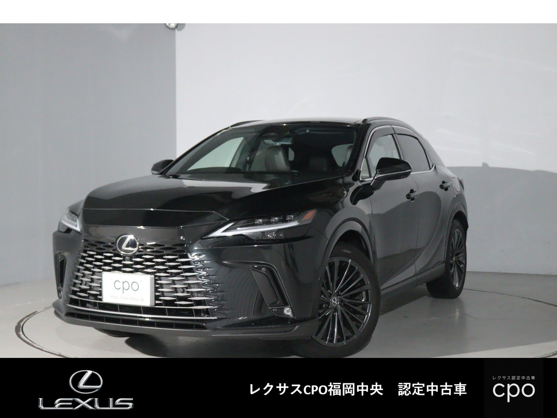 LEXUS RX - View 1