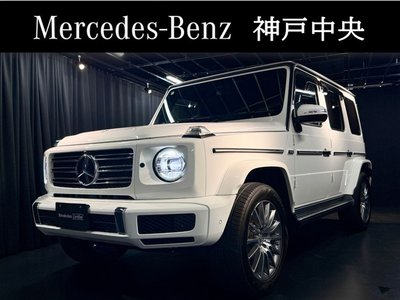 MERCEDES-BENZ G-CLASS - 1