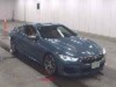 2019 BMW 8 SERIES 照片 1