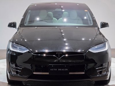 2020 Tesla MODEL X 照片 2