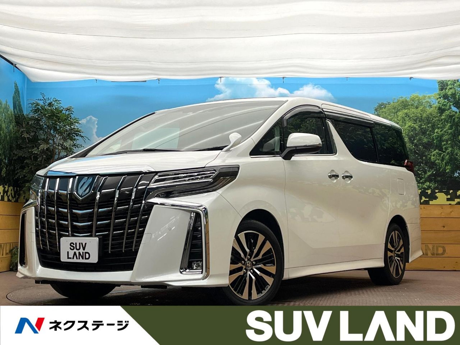 TOYOTA ALPHARD - View 1