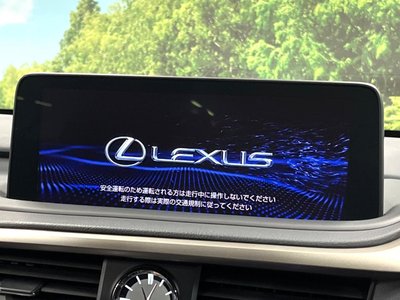 LEXUS RX - 3