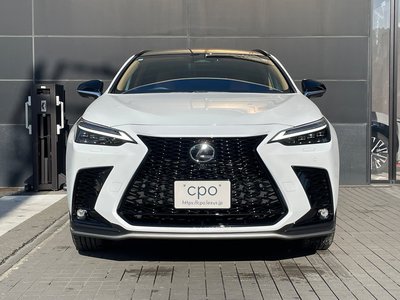 LEXUS NX - 3