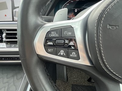 2021 BMW X7 缩略图 50