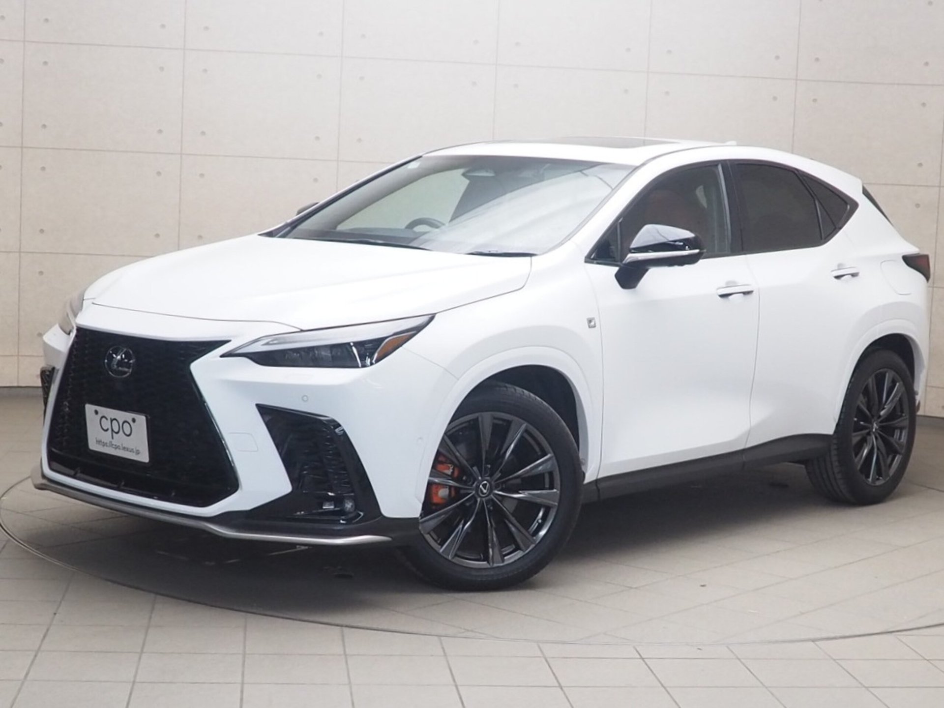 LEXUS NX - View 1