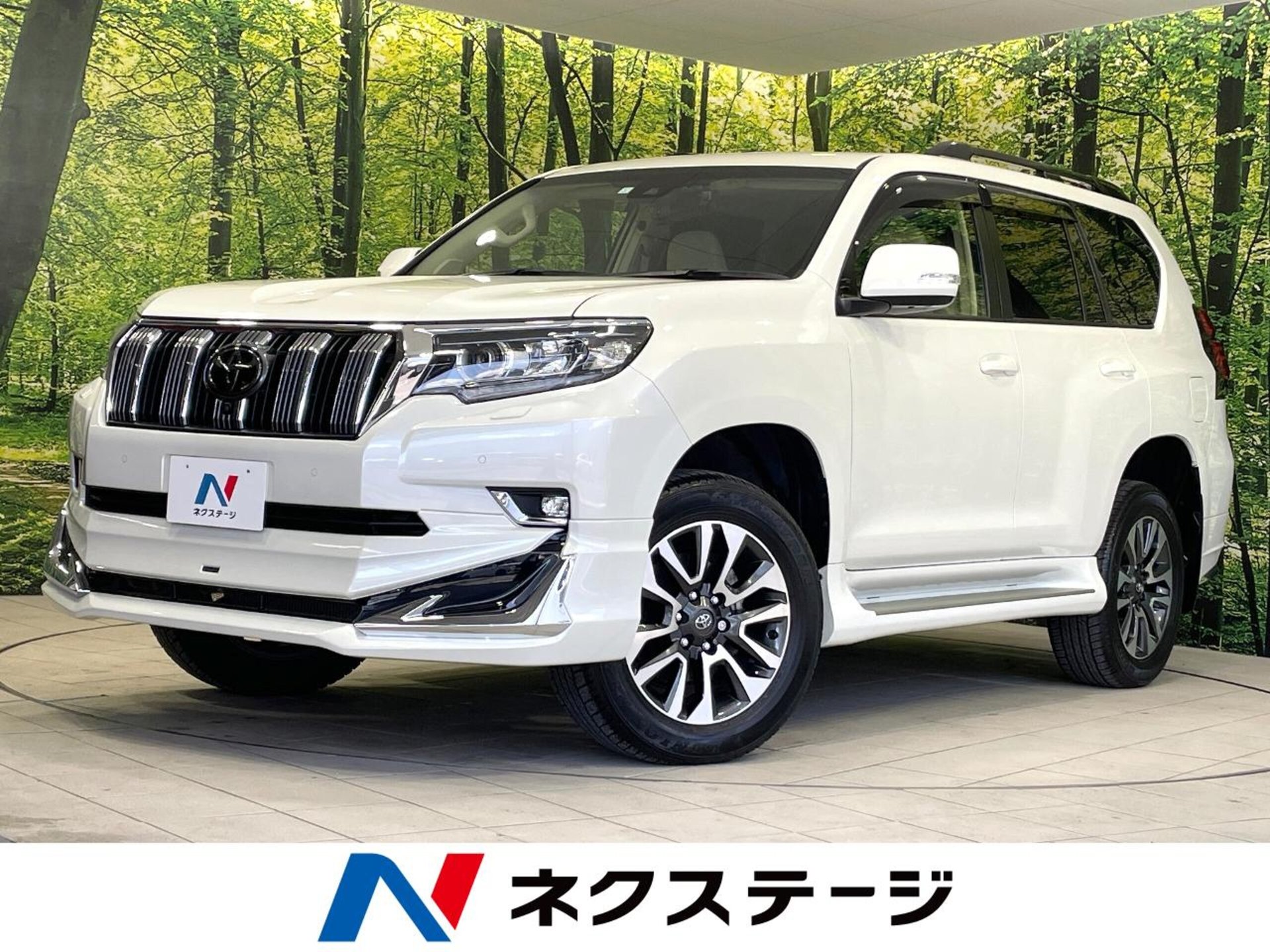 TOYOTA LAND CRUISER PRADO - View 1
