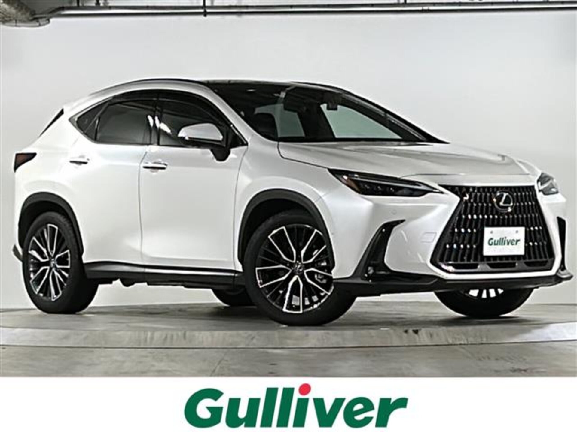 LEXUS NX - View 1