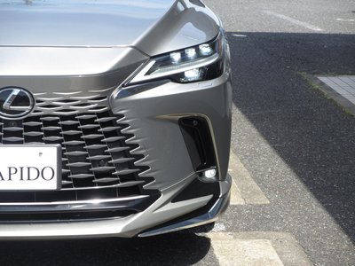 LEXUS RX - 7