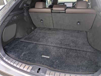 2023 Lexus RX 缩略图 21