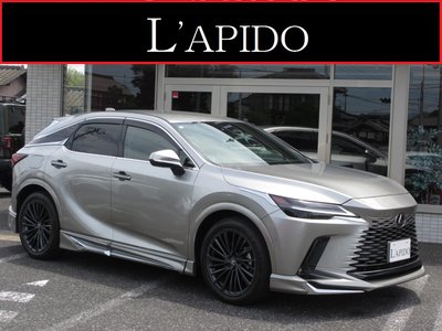 LEXUS RX - 1