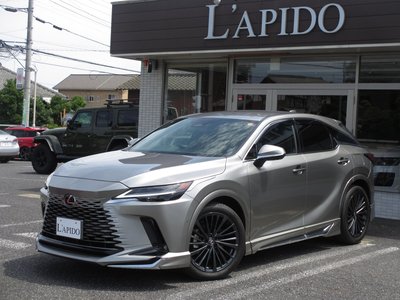 2023 Lexus RX 缩略图 81