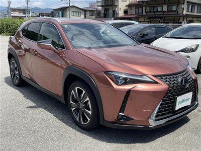 2024 Lexus UX 照片 1