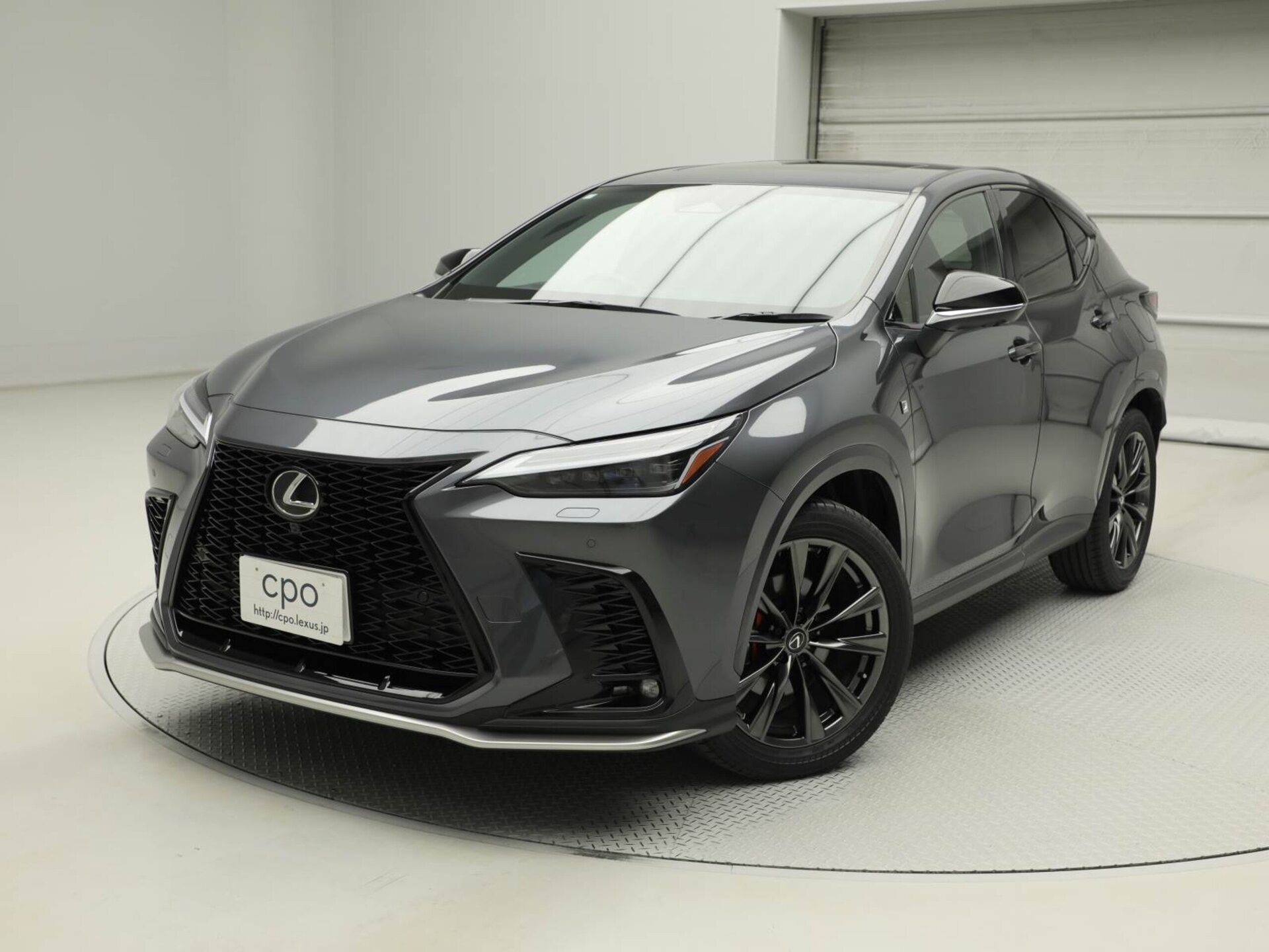 LEXUS NX - View 1