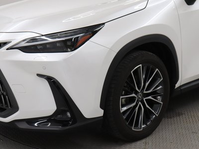 2023 Lexus NX — миниатюра 20