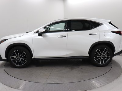 2023 Lexus NX — миниатюра 16