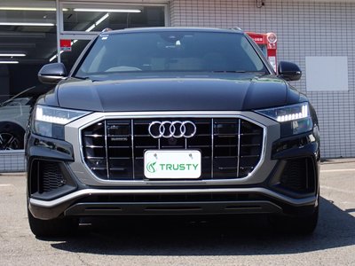 2019 AUDI Q8 thumbnail 13