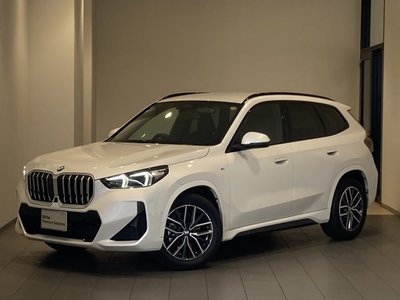 BMW X1 - 1