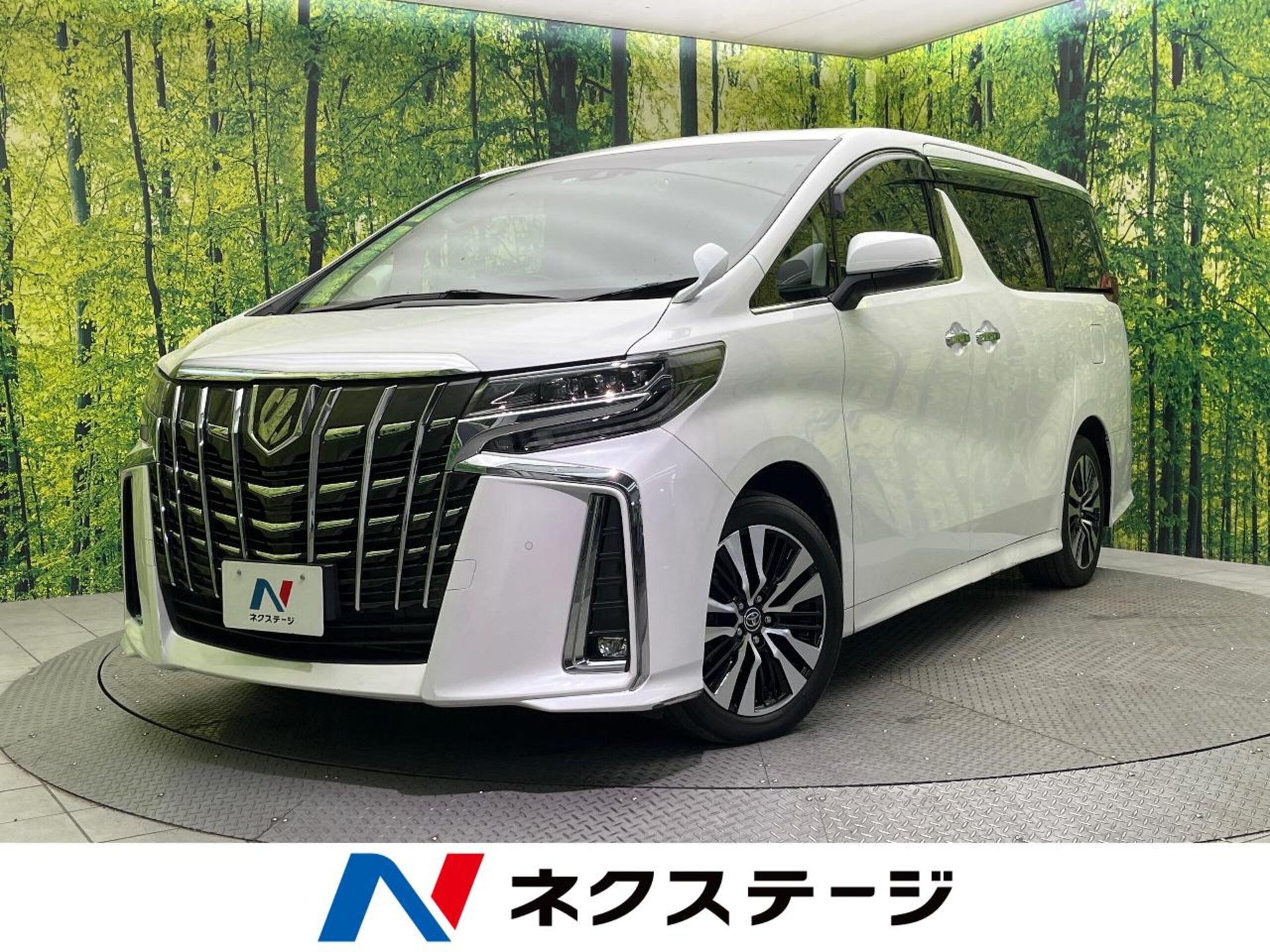 TOYOTA ALPHARD - View 1