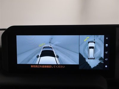 2025 Toyota LAND CRUISER 250 thumbnail 11