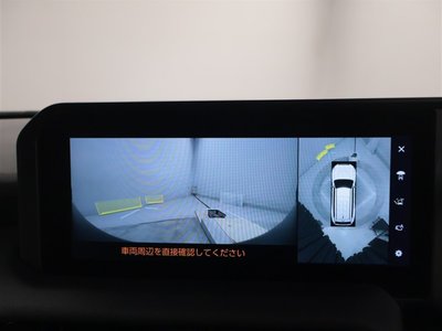 2025 Toyota LAND CRUISER 250 photo 10