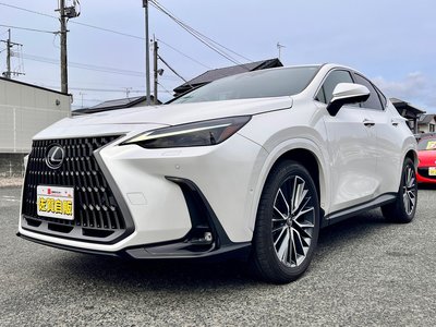 LEXUS NX - 7