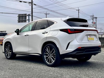 LEXUS NX - 10