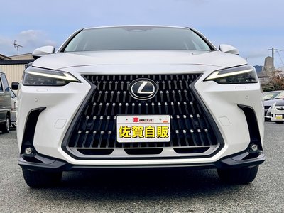 LEXUS NX - 4